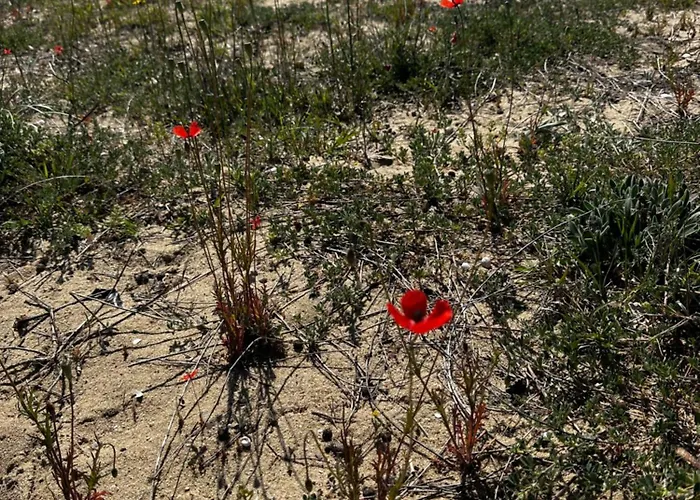 Appartement Perfect Sea And Pool View Long