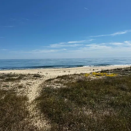 Perfect Sea And Pool View Long アパート *