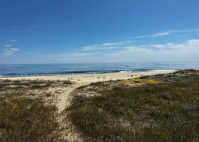 Perfect Sea And Pool View Long 아파트 *