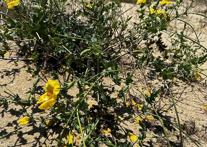 아파트 Perfect Sea And Pool View Long